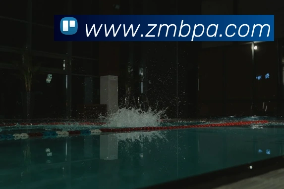 pa真人视讯品牌故事